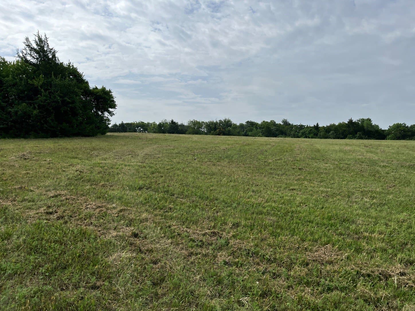 64.43 acres in Grayson County - photo 32