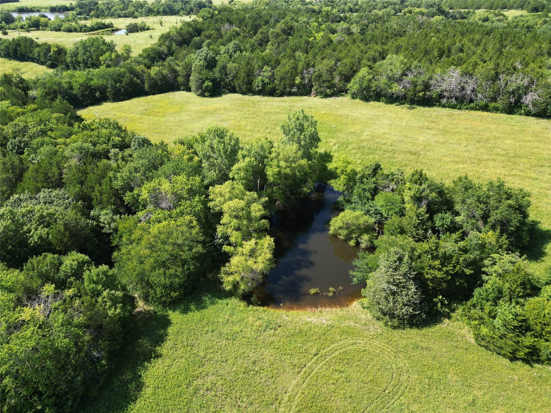 64.43 acres in Grayson County - photo 18