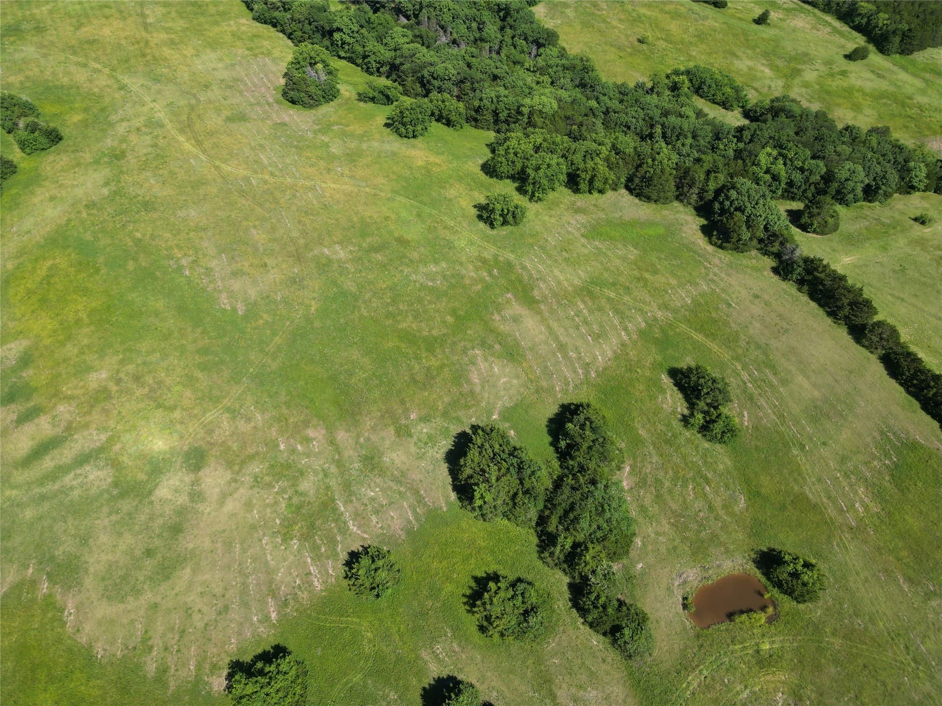 64.43 acres in Grayson County - photo 15