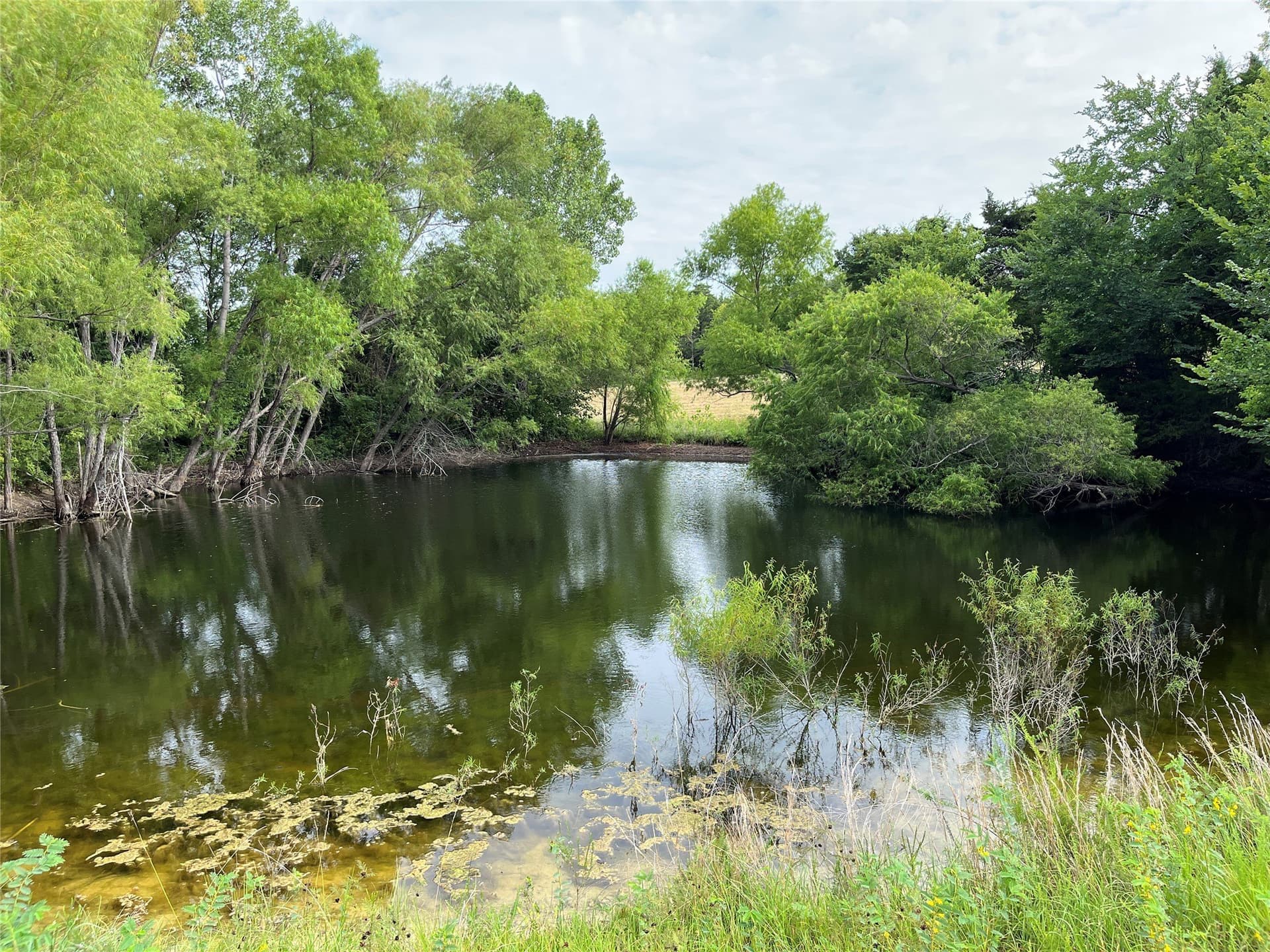 64.43 acres in Grayson County - photo 29