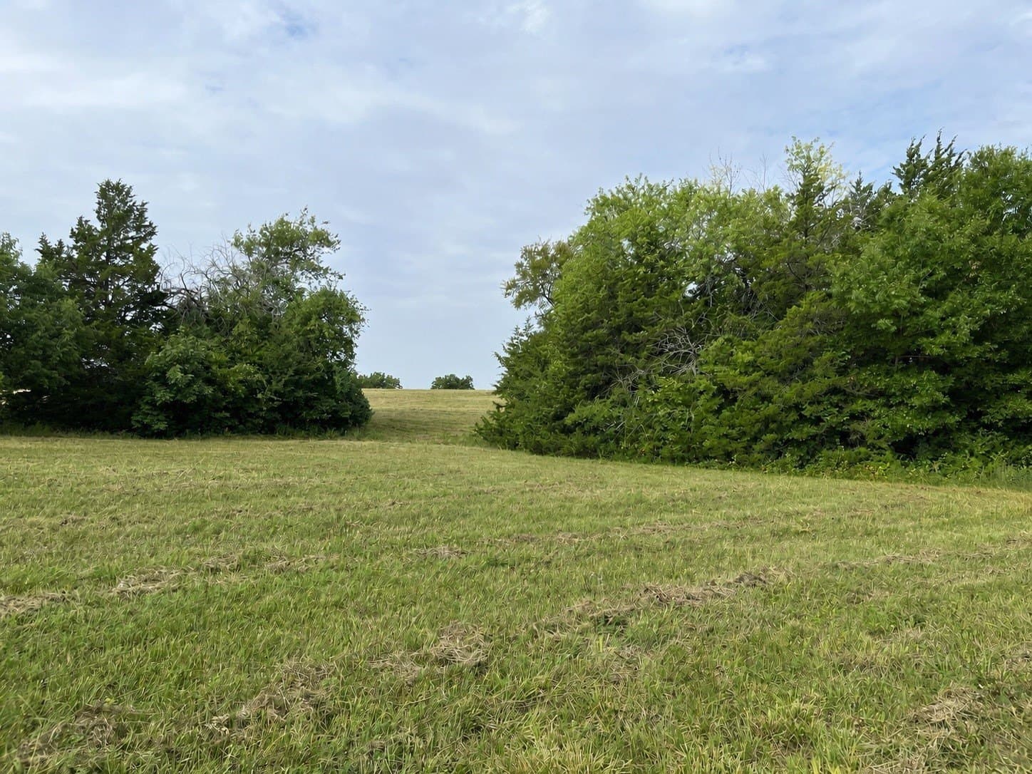 64.43 acres in Grayson County - photo 30