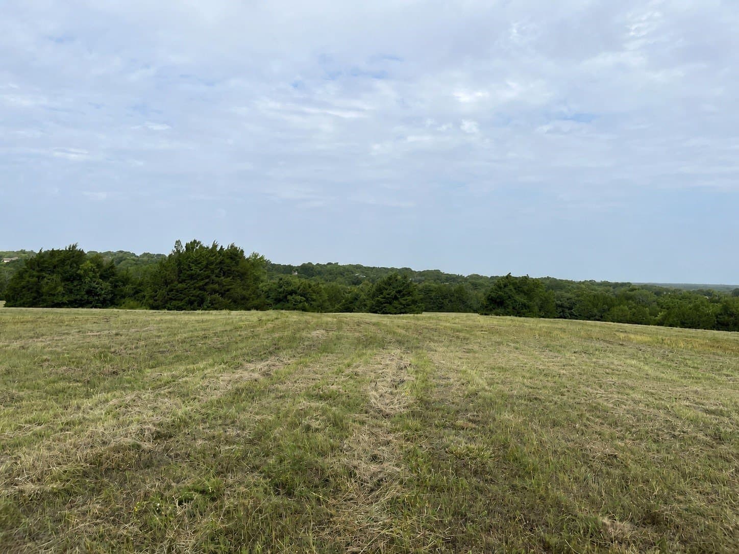 64.43 acres in Grayson County - photo 33