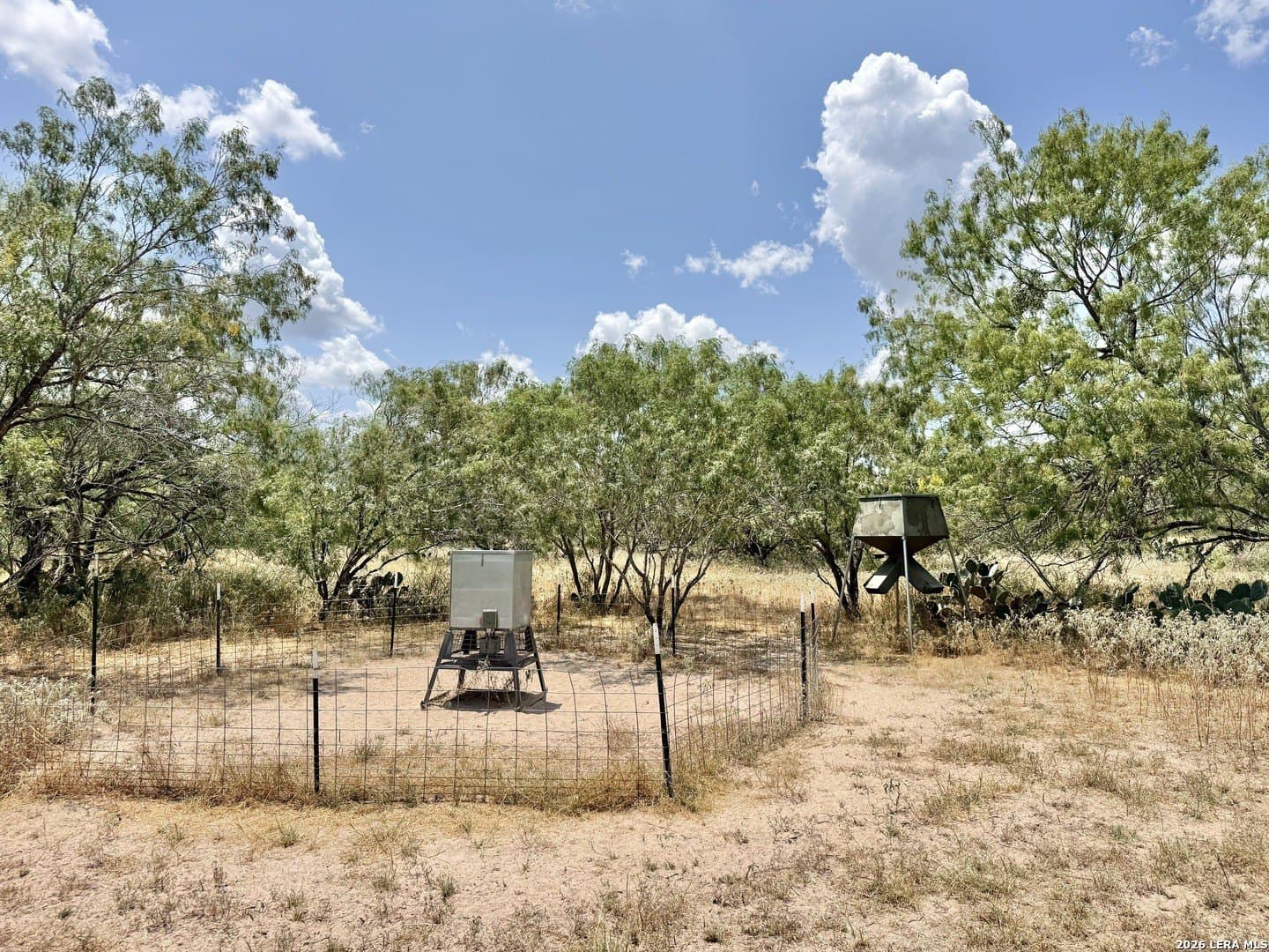 24.52 acres in Atascosa County - photo 13