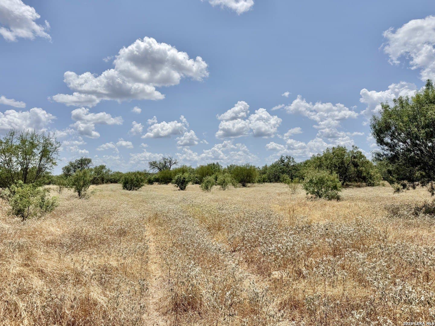 24.52 acres in Atascosa County - photo 8