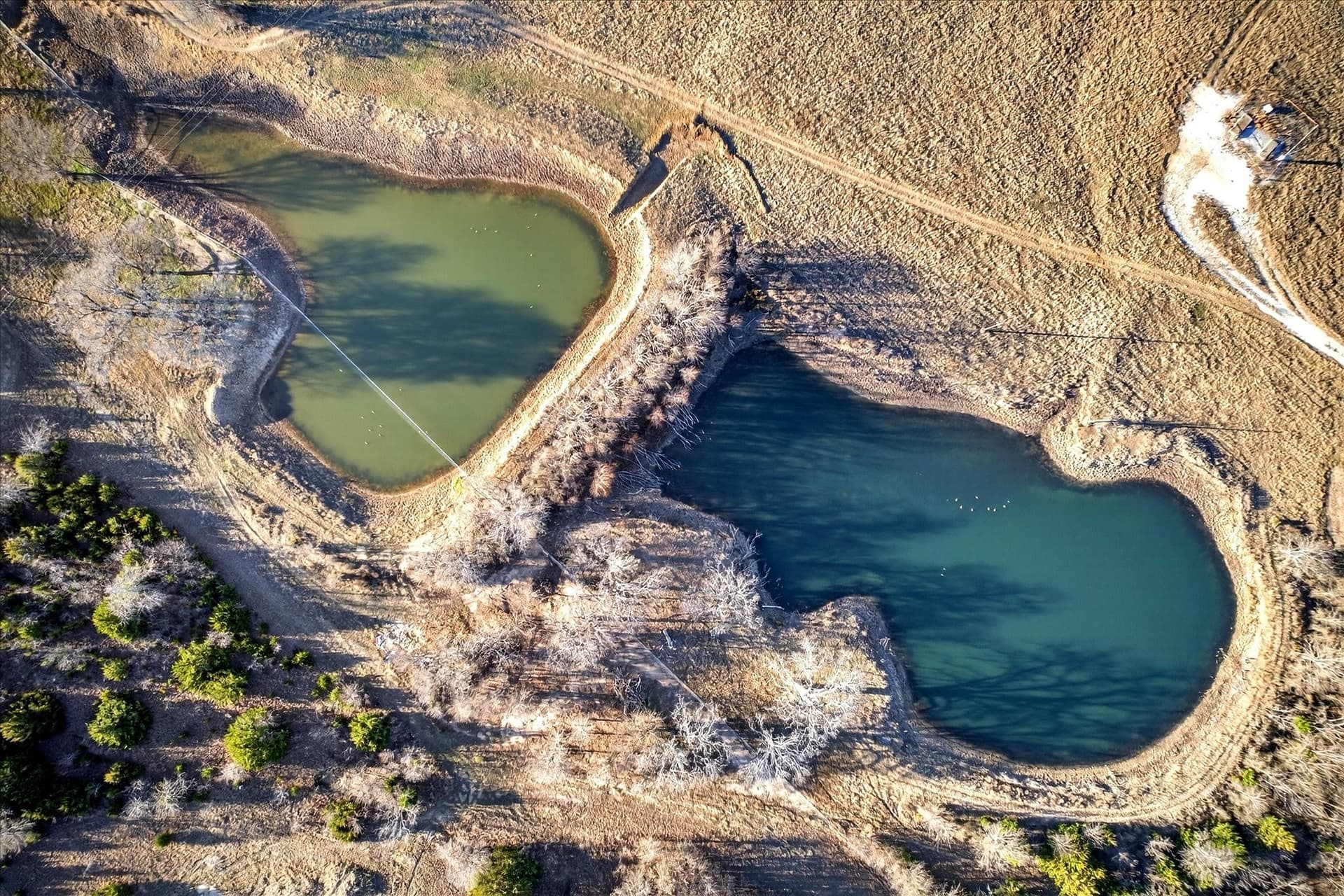 93.1 acres in Cooke County featured view