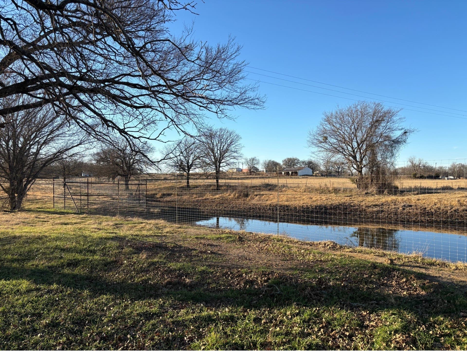 93.1 acres in Cooke County gallery image 4