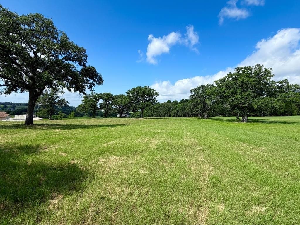 6 acres in Henderson County - photo 14