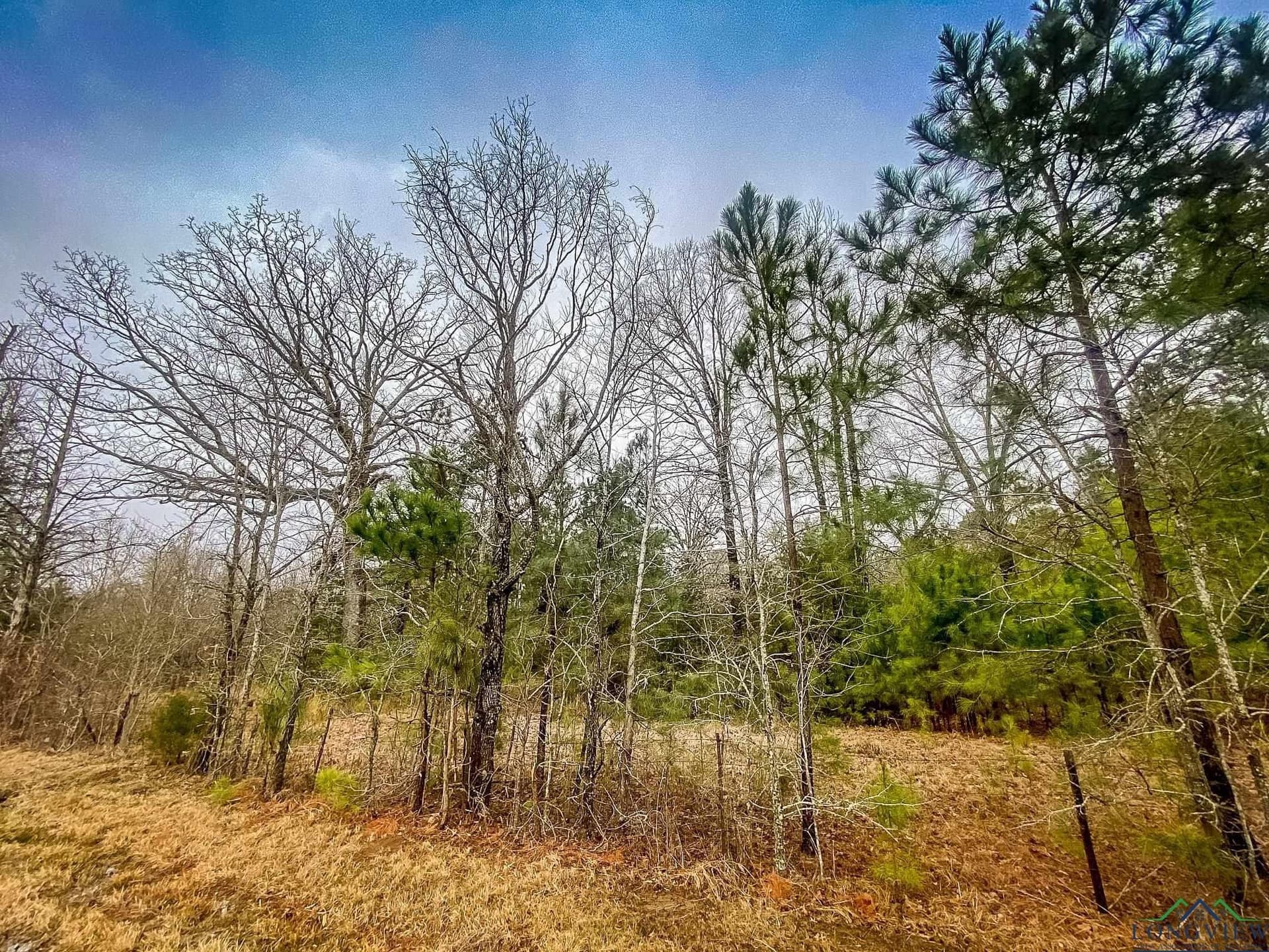 8 acres in Harrison County featured view
