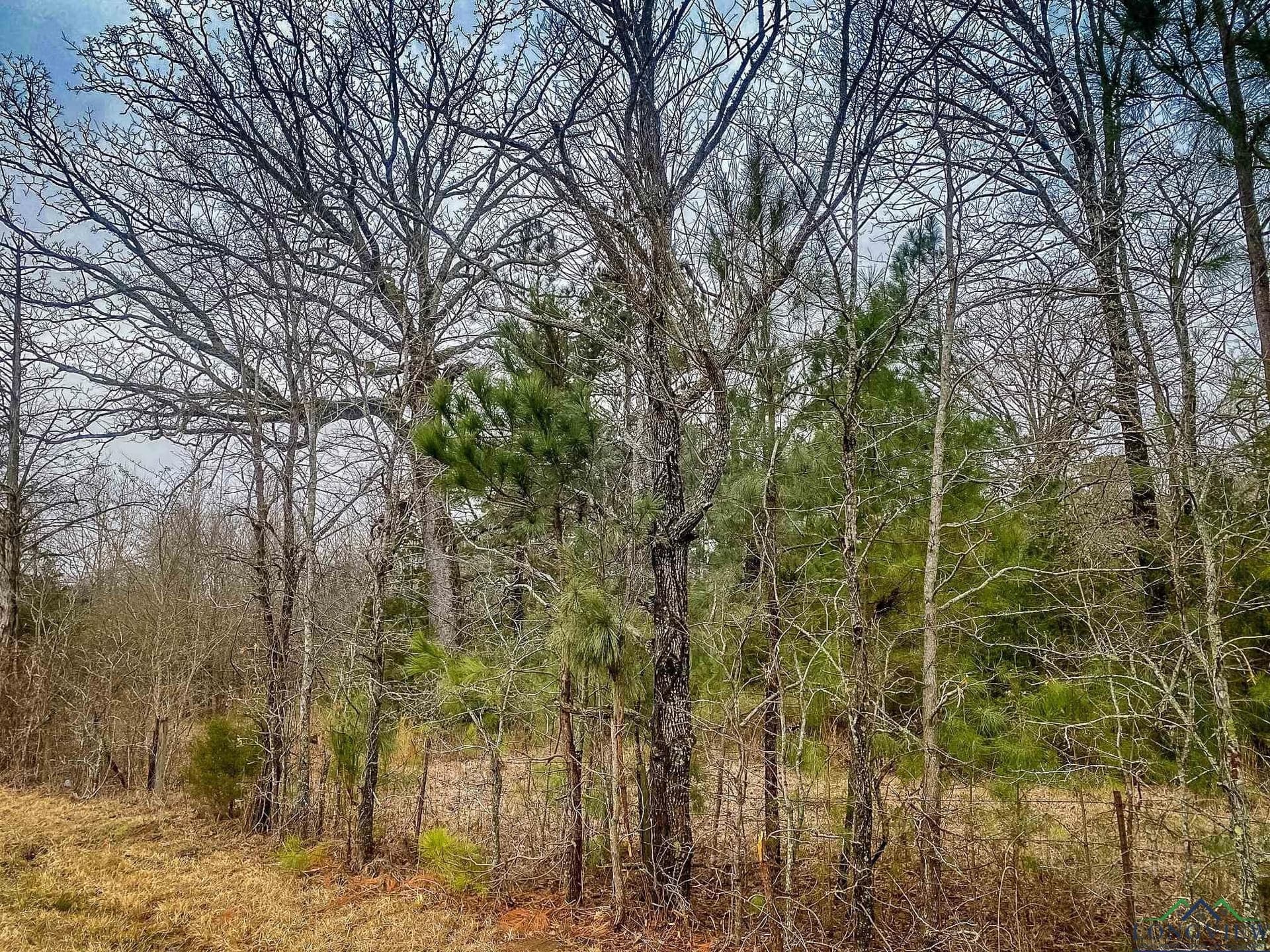 8 acres in Harrison County gallery image 4