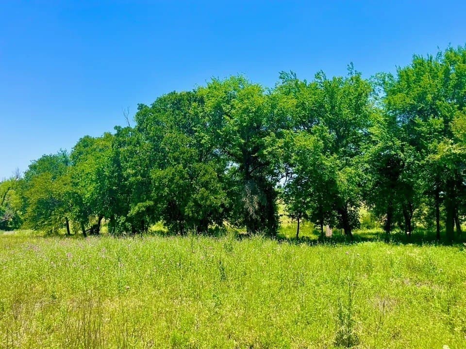 2.24 acres in Parker County - photo 2
