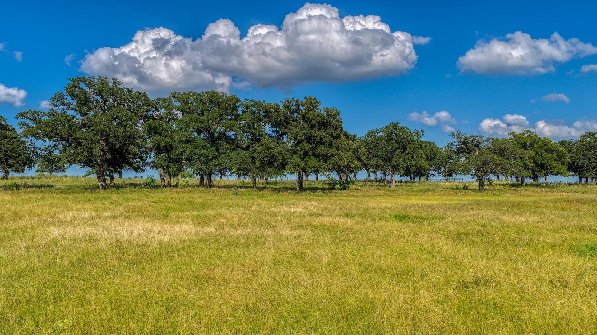 2.01 acres in Parker County - photo 10