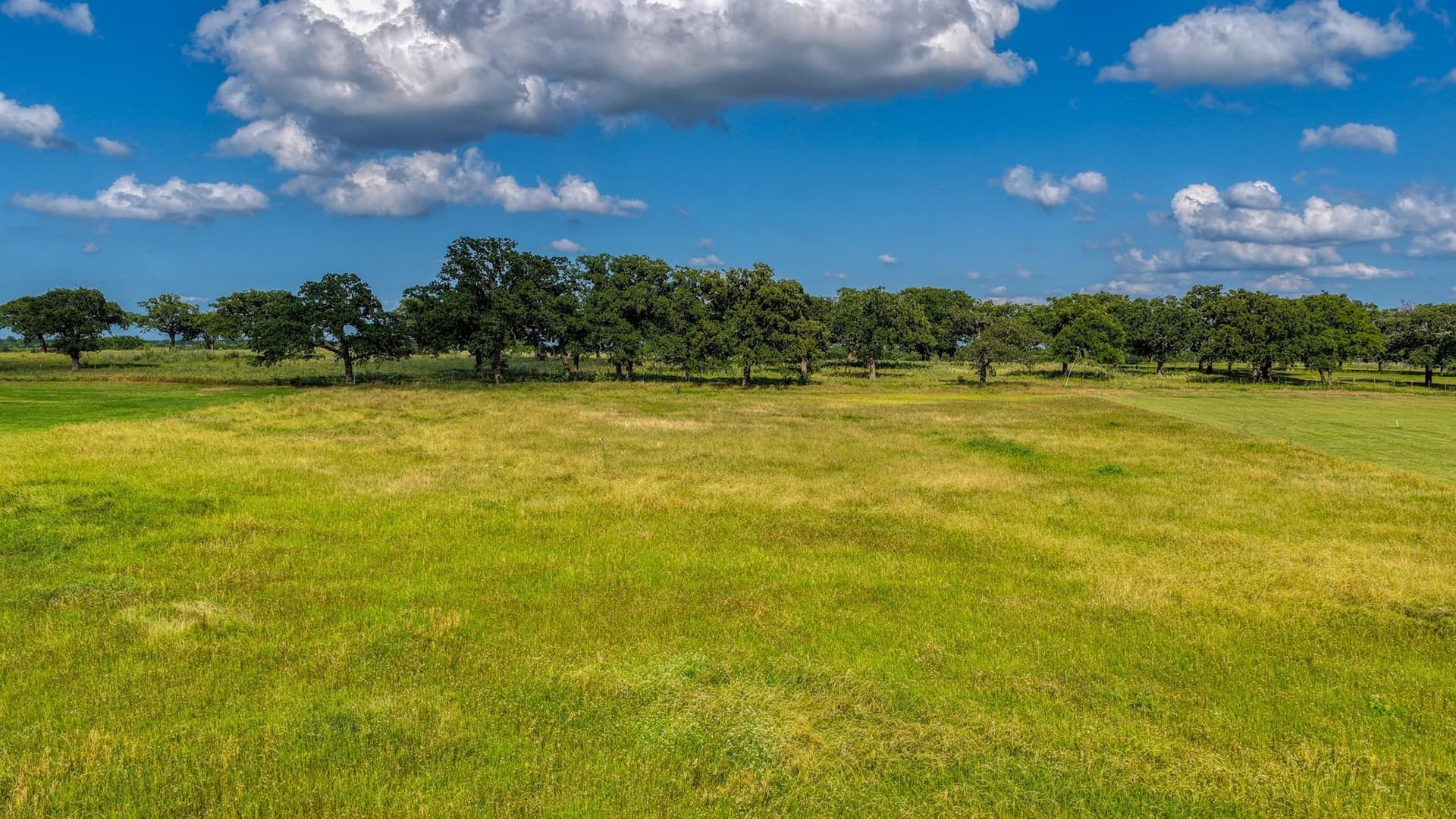 2.01 acres in Parker County - photo 12