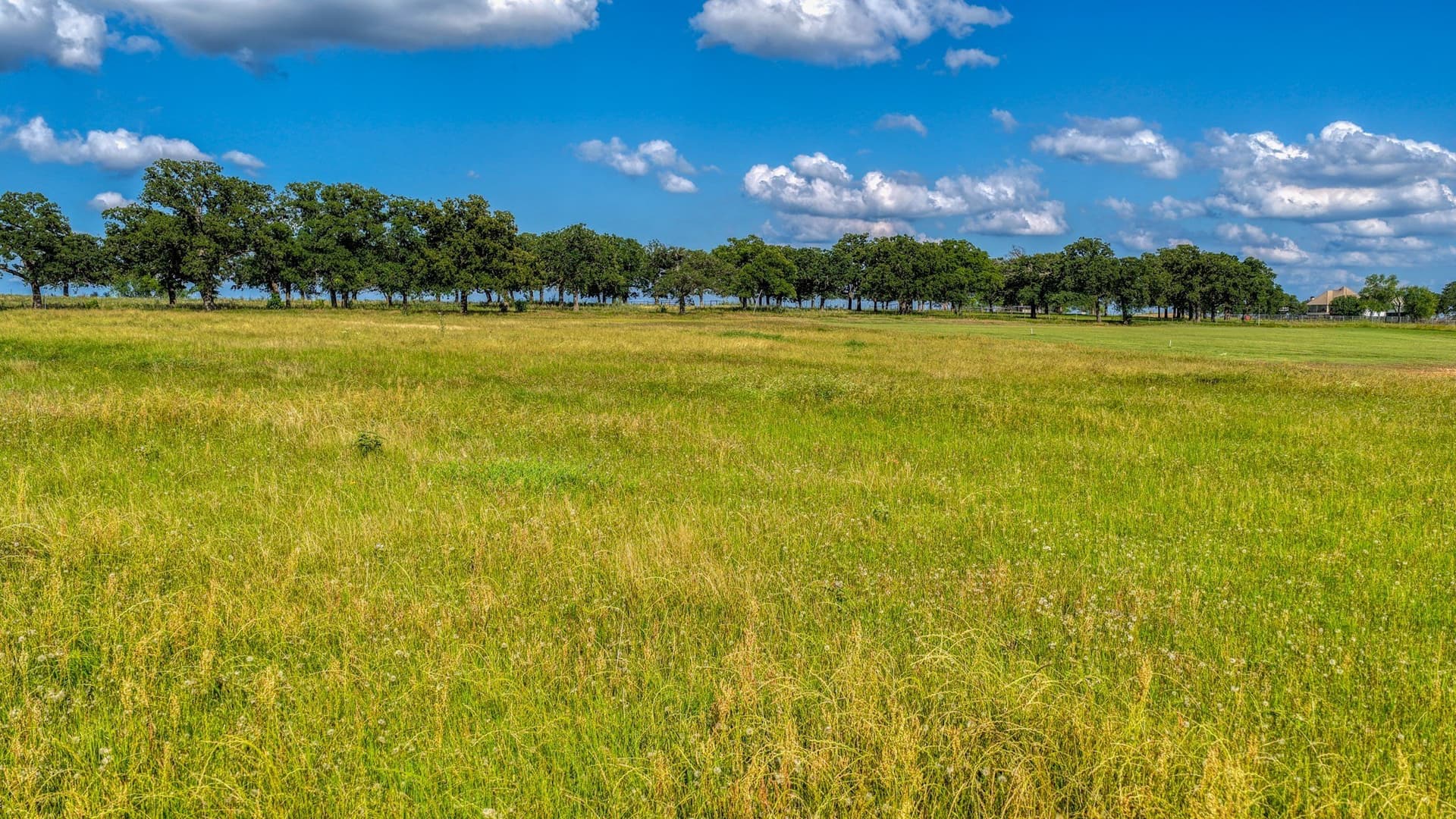 2.01 acres in Parker County - photo 11