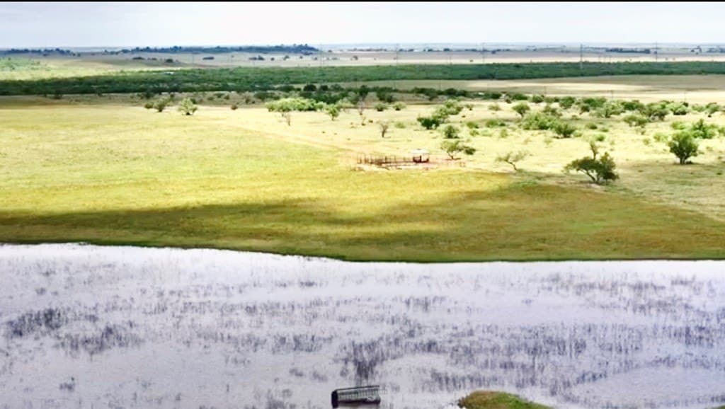 320 acres in Throckmorton County gallery image 2
