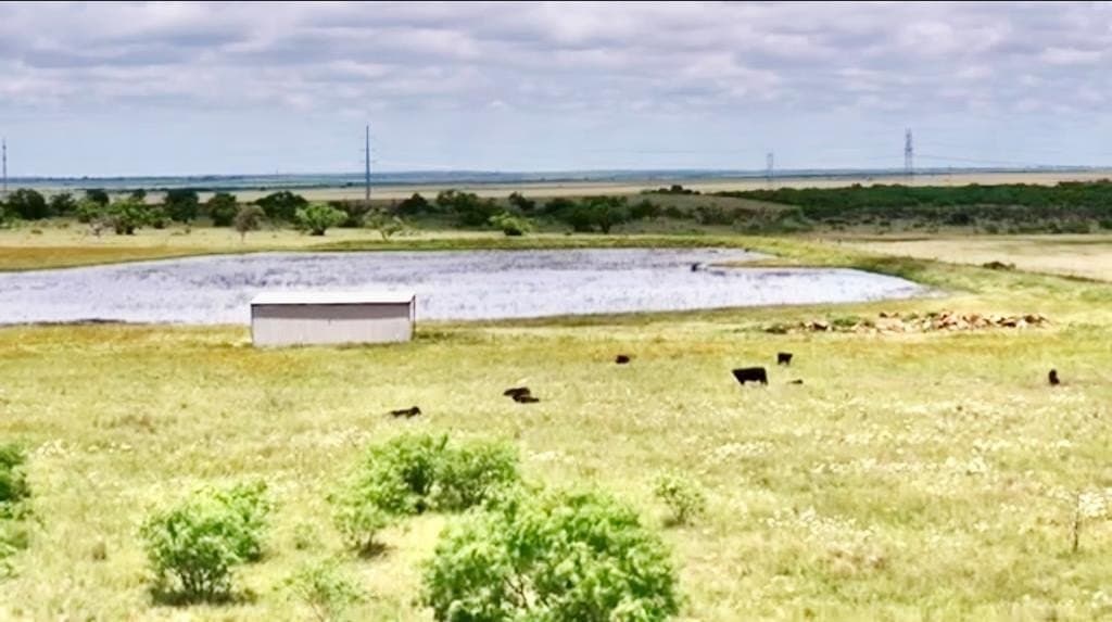 320 acres in Throckmorton County