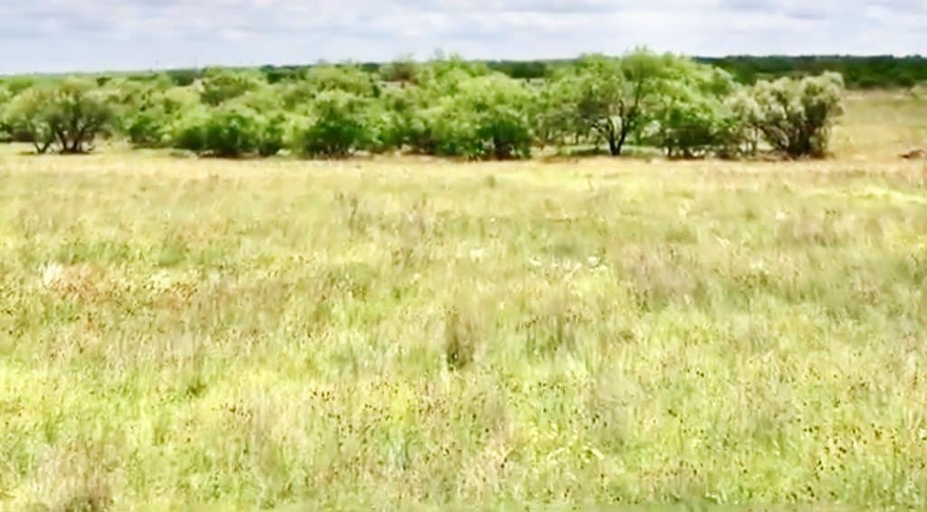 320 acres in Throckmorton County featured view