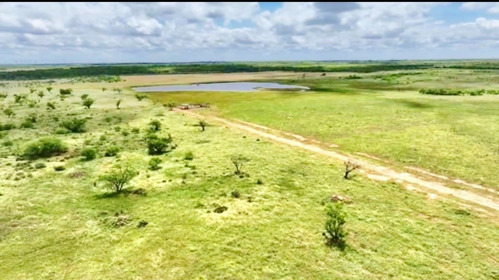 320 acres in Throckmorton County gallery image 3