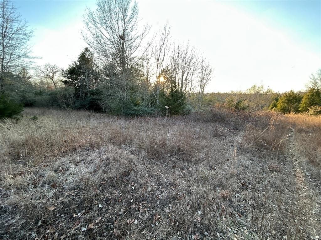 108.71 acres in Freestone County gallery image 4