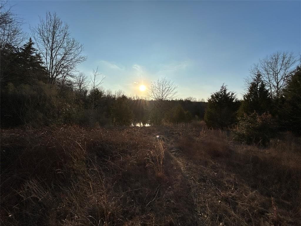 108.71 acres in Freestone County gallery image 3