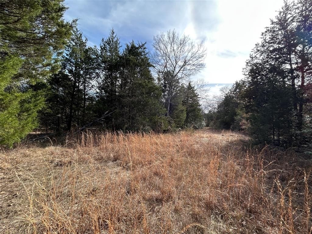 108.71 acres in Freestone County gallery image 2