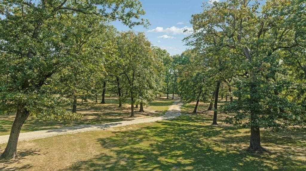 14.62 acres in Lamar County gallery image 4