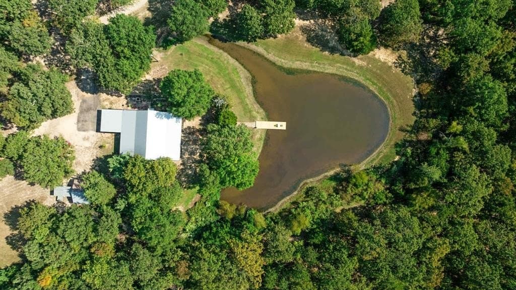 14.62 acres in Lamar County gallery image 2
