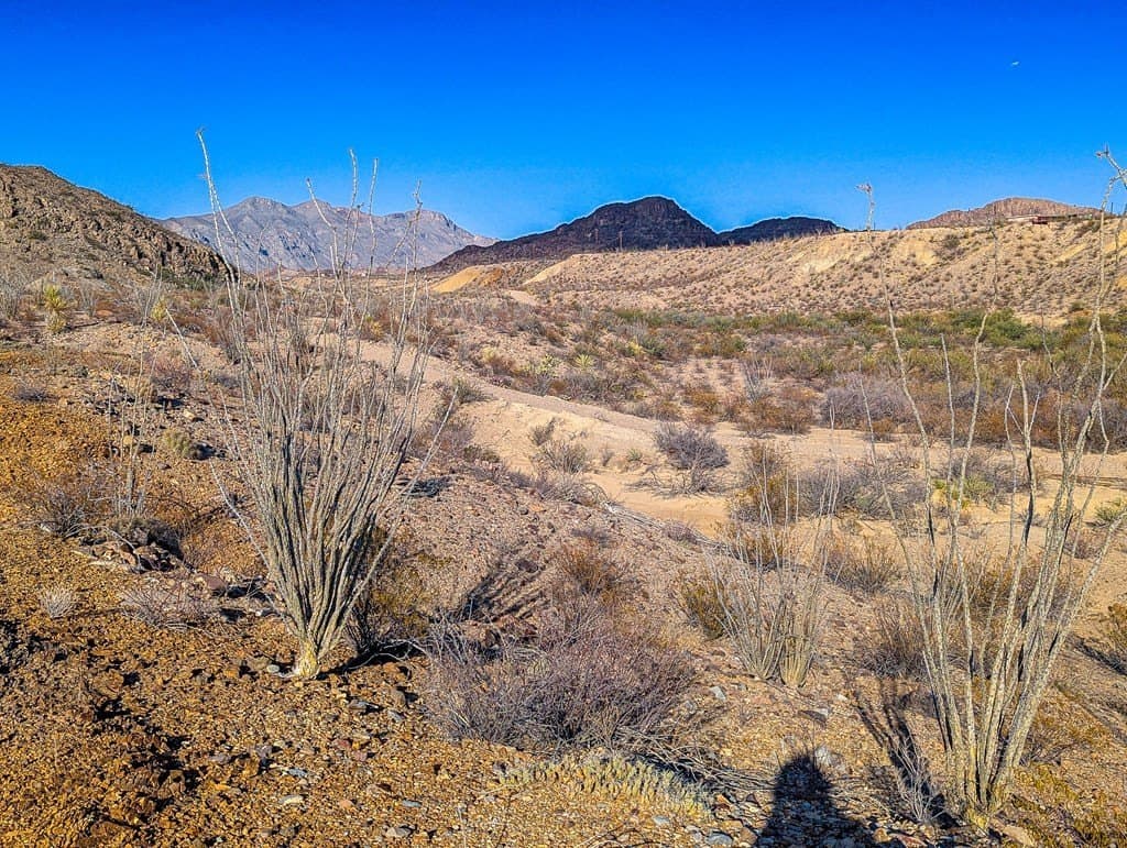 10 acres in Brewster County gallery image 4