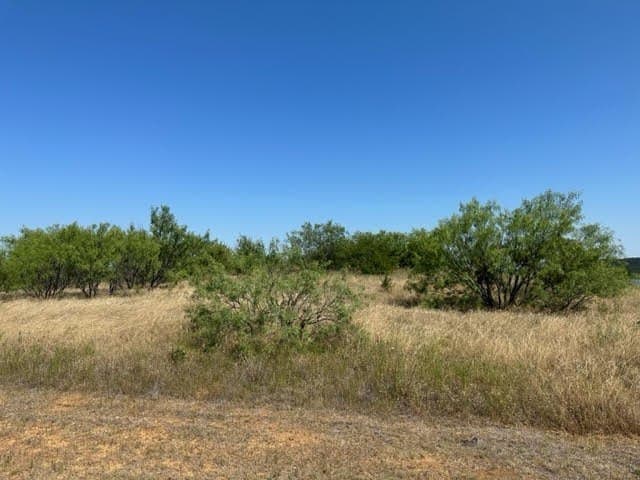 1.01 acres in Palo Pinto County - photo 25