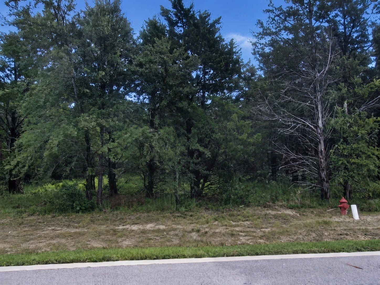 0.22 acres in Grayson County - photo 2