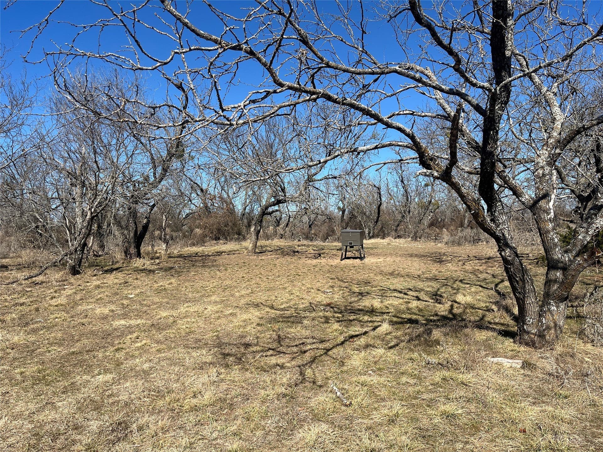 66 acres in Erath County - photo 10