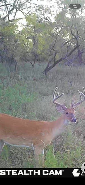 66 acres in Erath County - photo 40