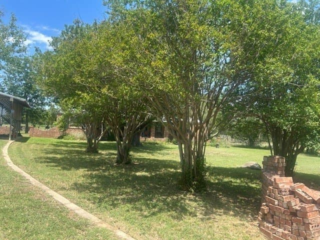 66 acres in Erath County - photo 3