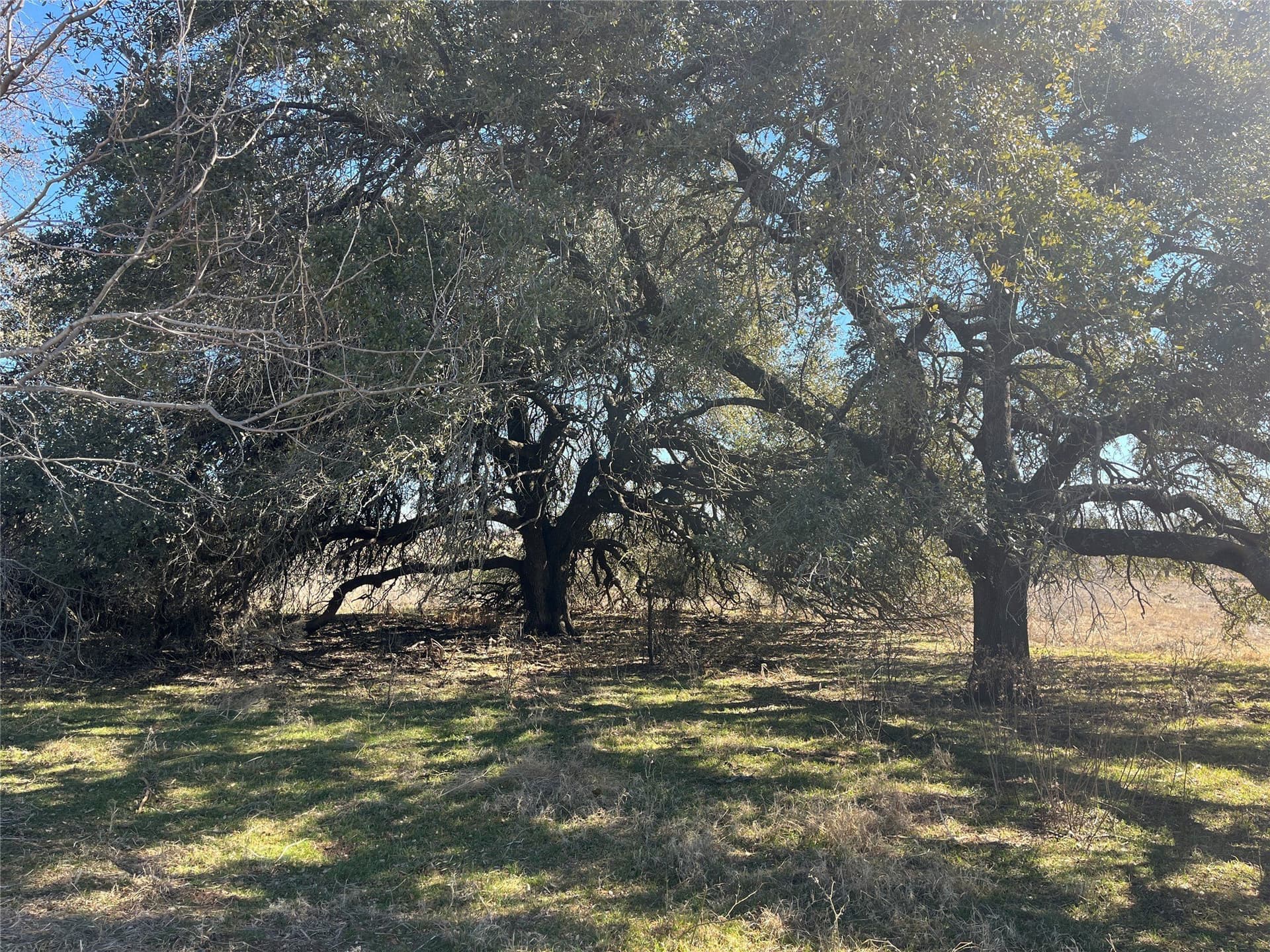 66 acres in Erath County - photo 9