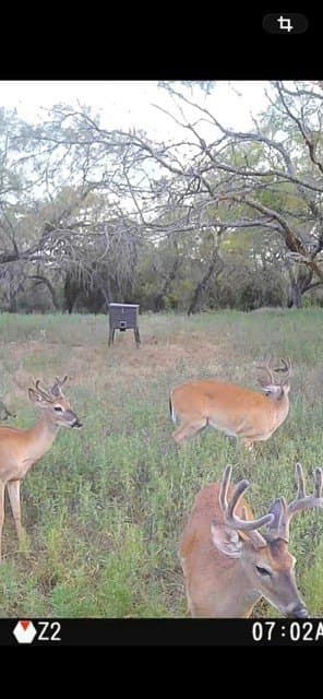 66 acres in Erath County - photo 39