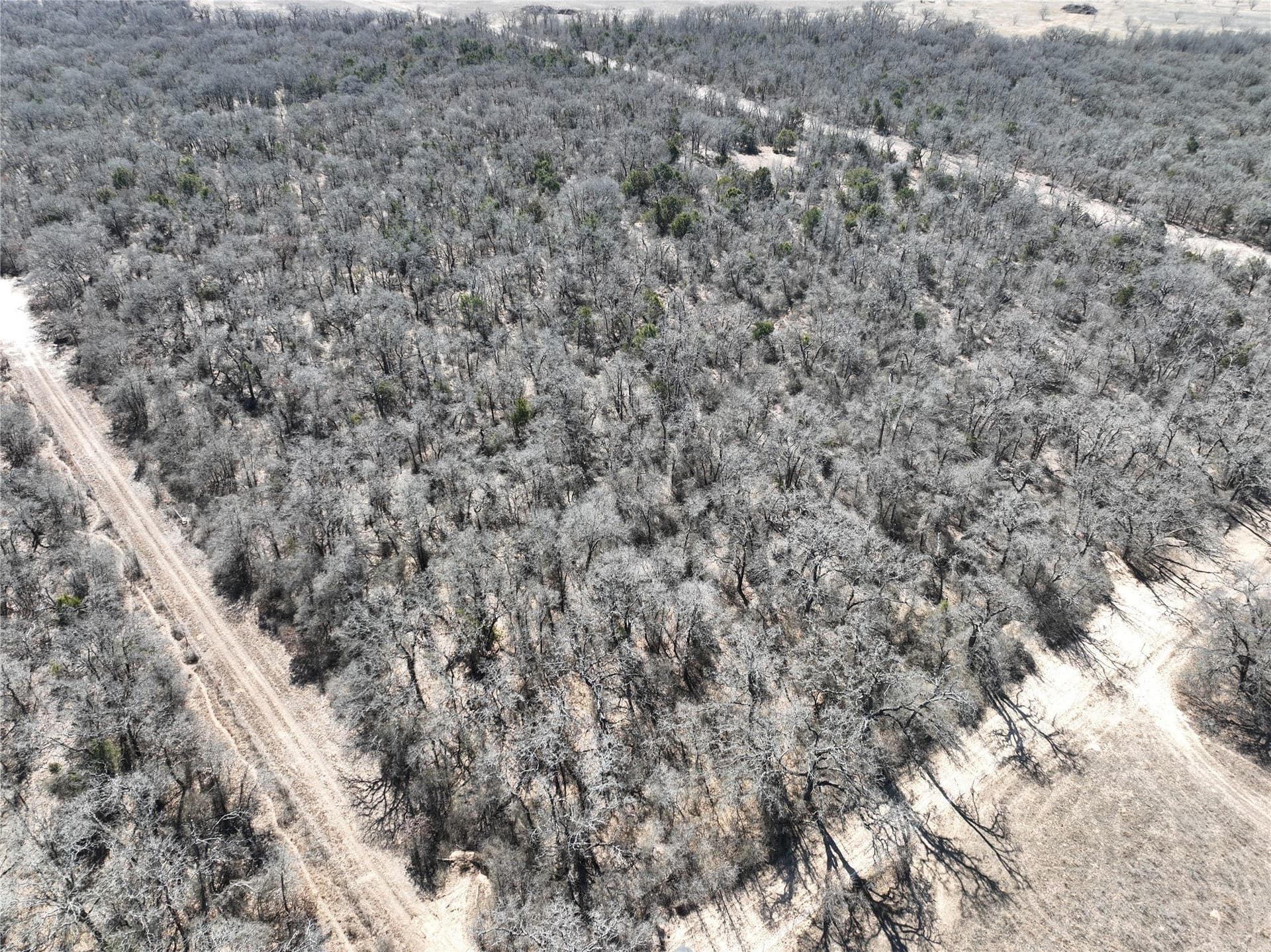 66 acres in Erath County - photo 14