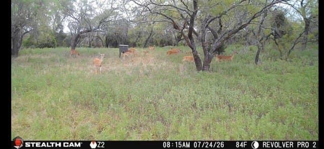 66 acres in Erath County - photo 38