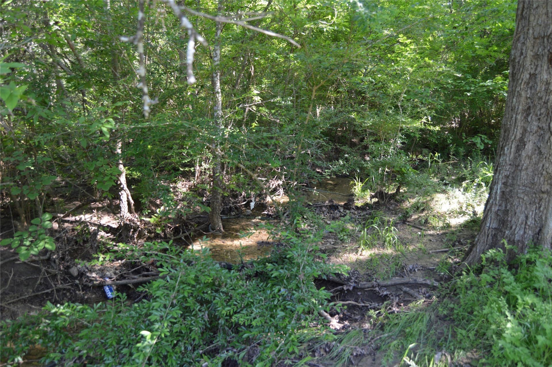 0.41 acres in Grayson County - photo 6
