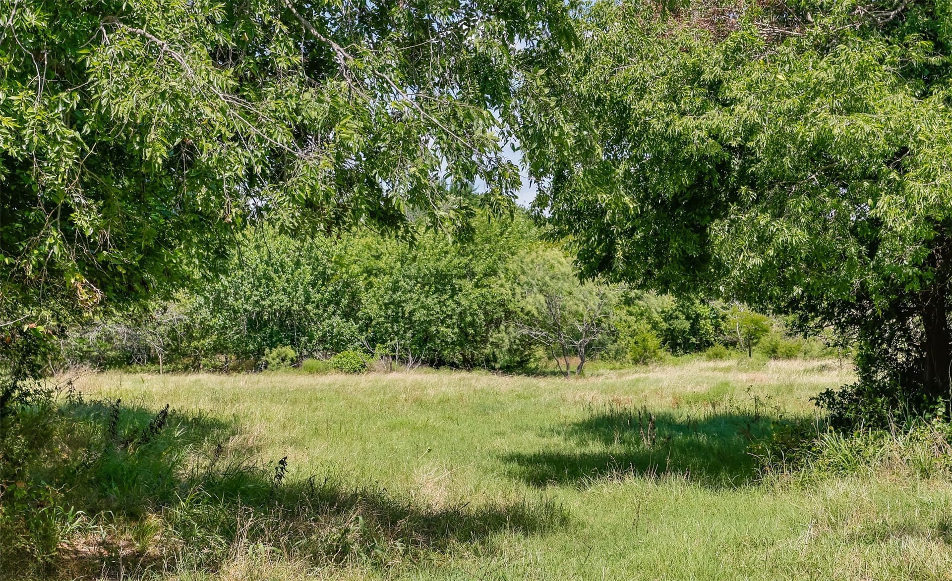 47.56 acres in Cooke County - photo 4