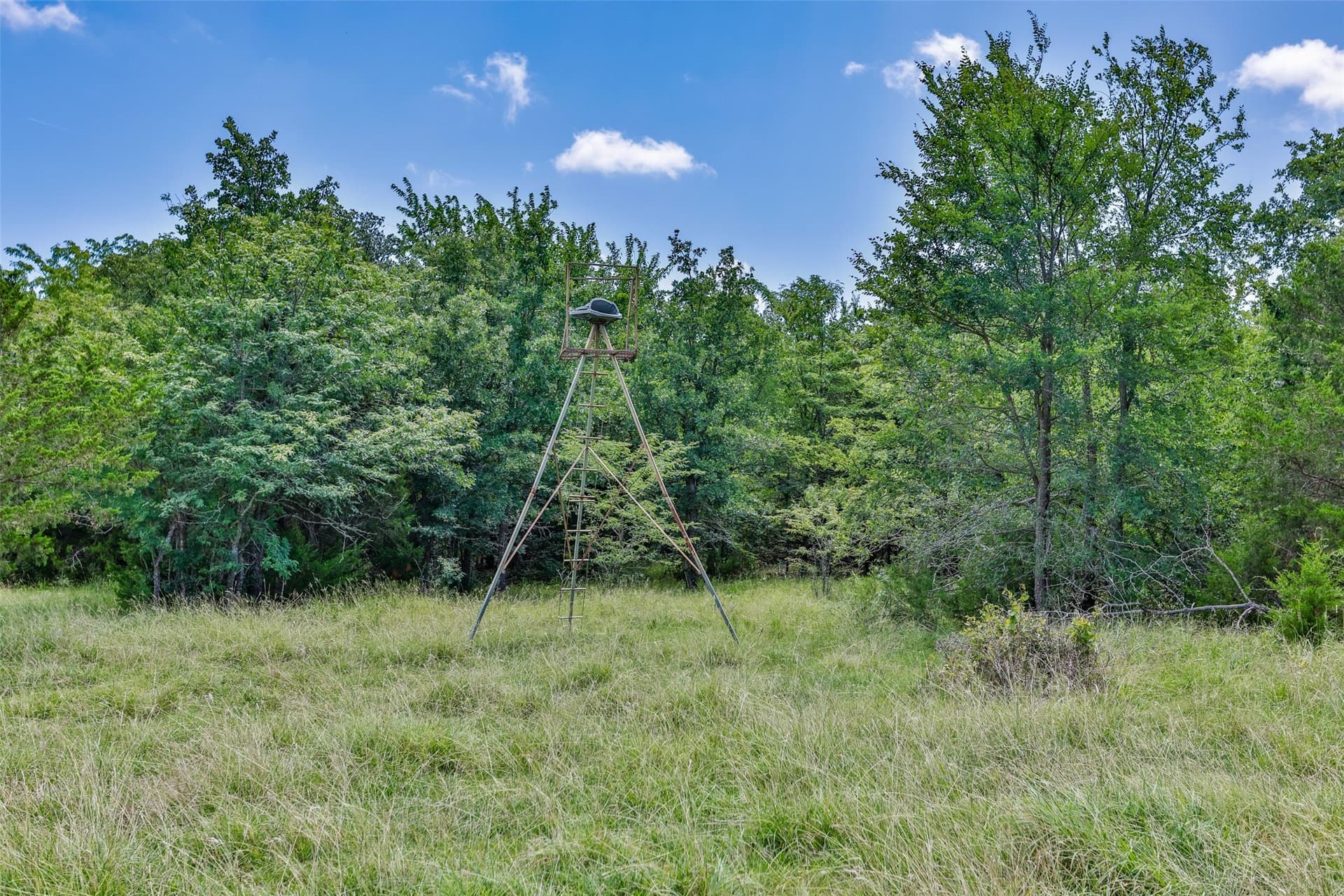 47.56 acres in Cooke County - photo 10