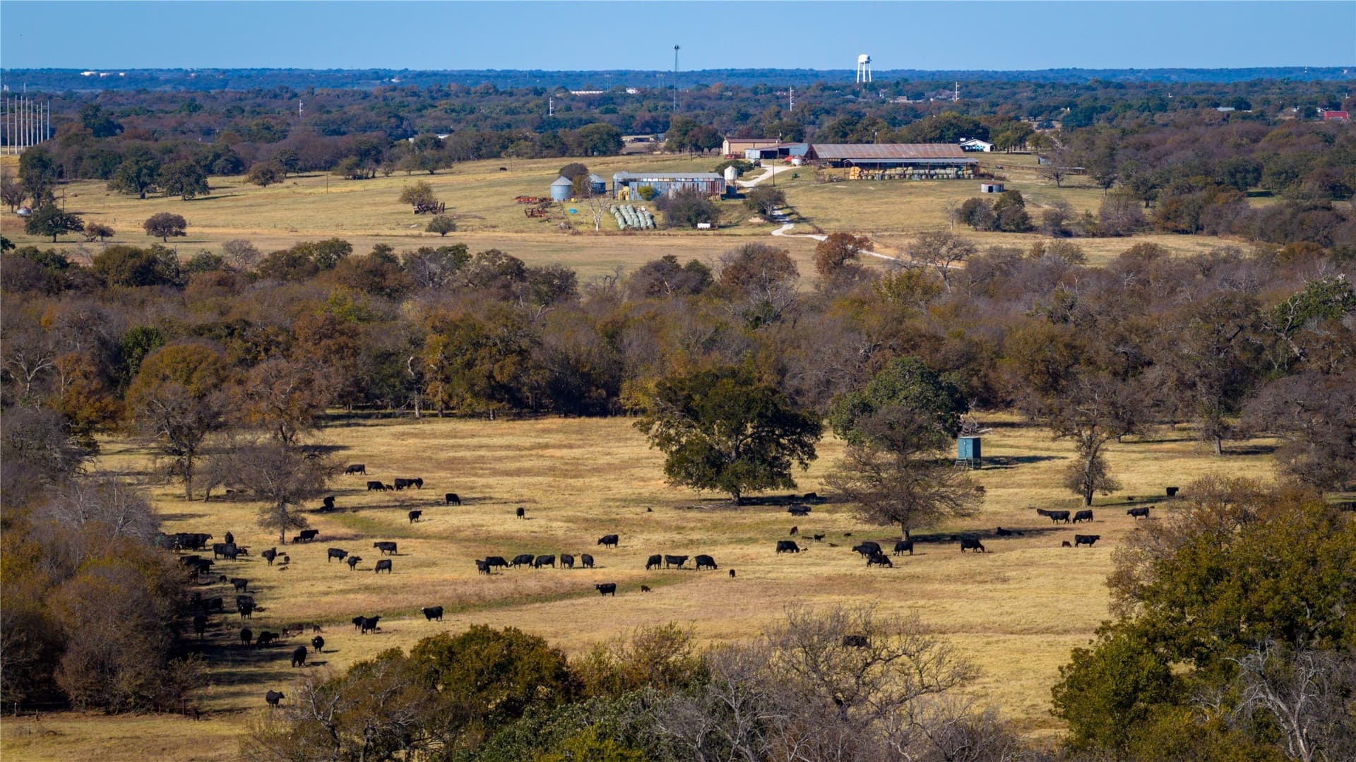 920 acres in Wise County - photo 16