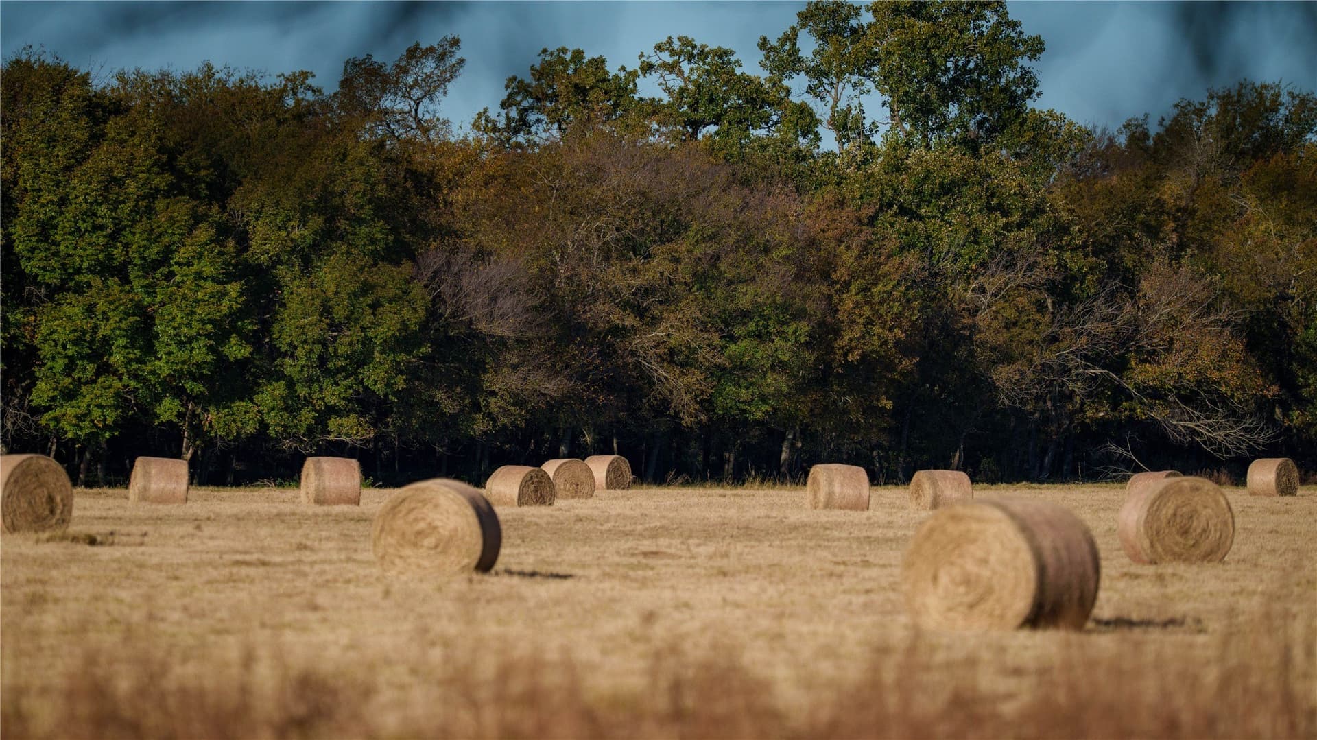 920 acres in Wise County - photo 18