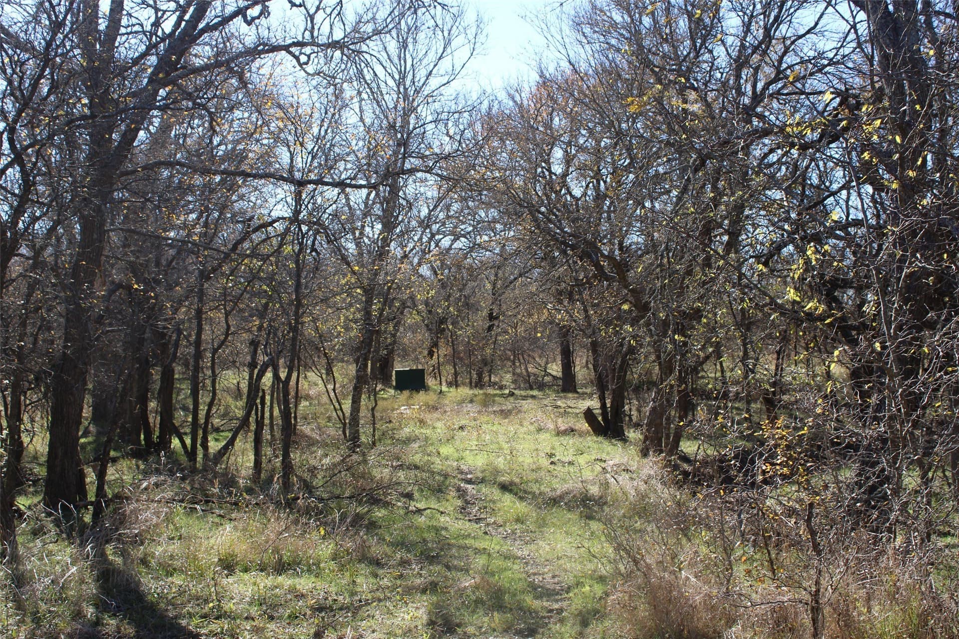 100 acres in Limestone County - photo 12