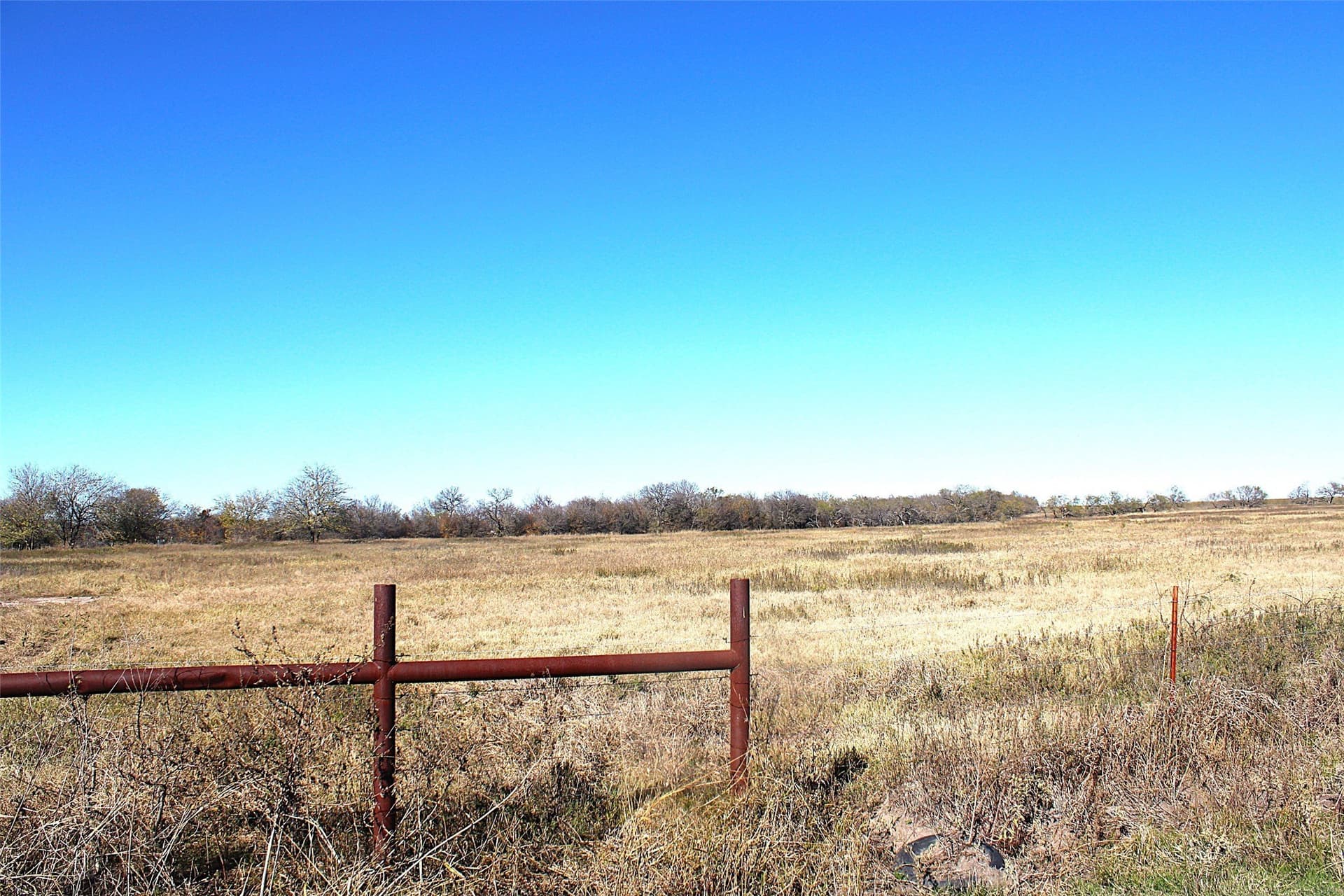 100 acres in Limestone County - photo 4