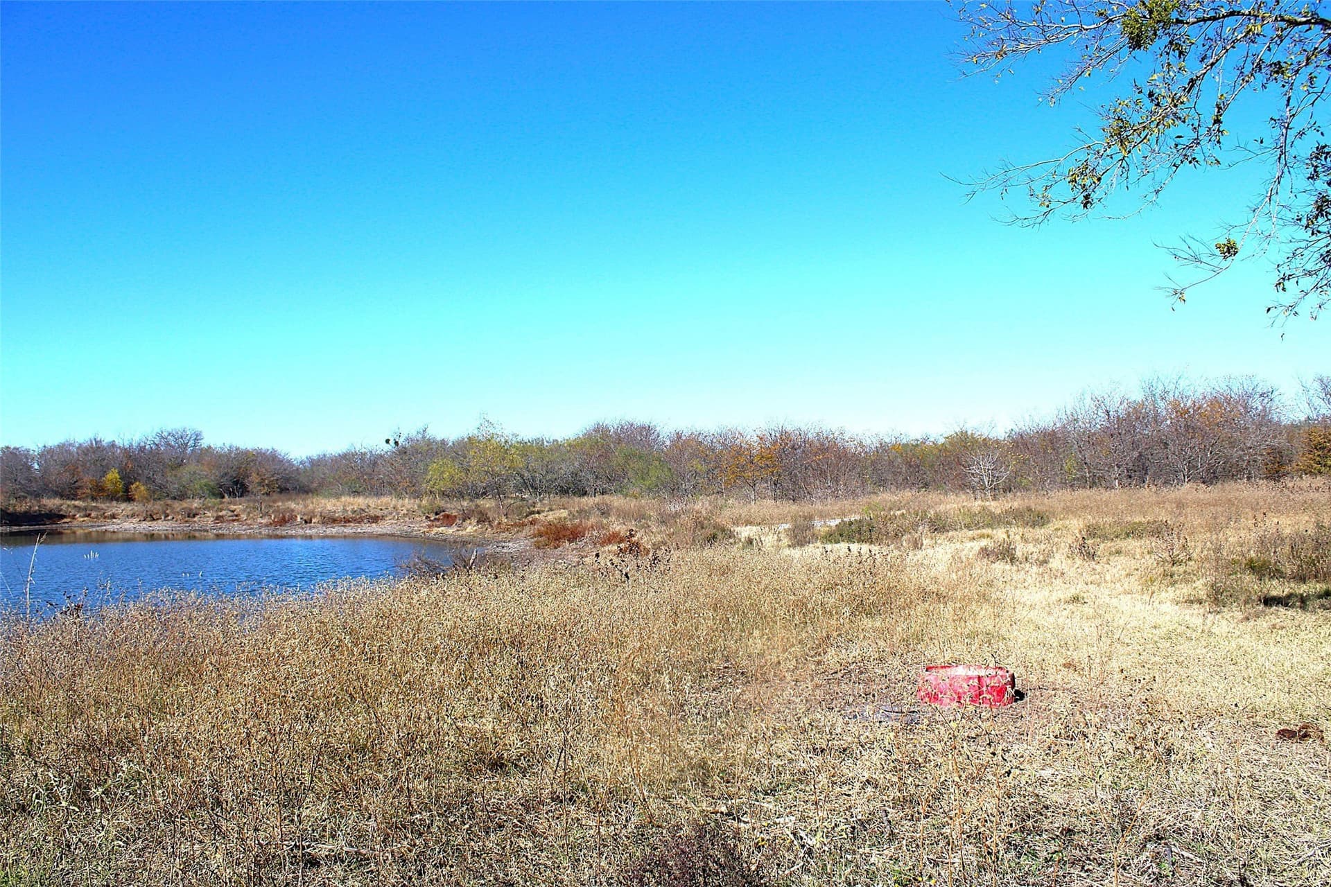 100 acres in Limestone County - photo 8