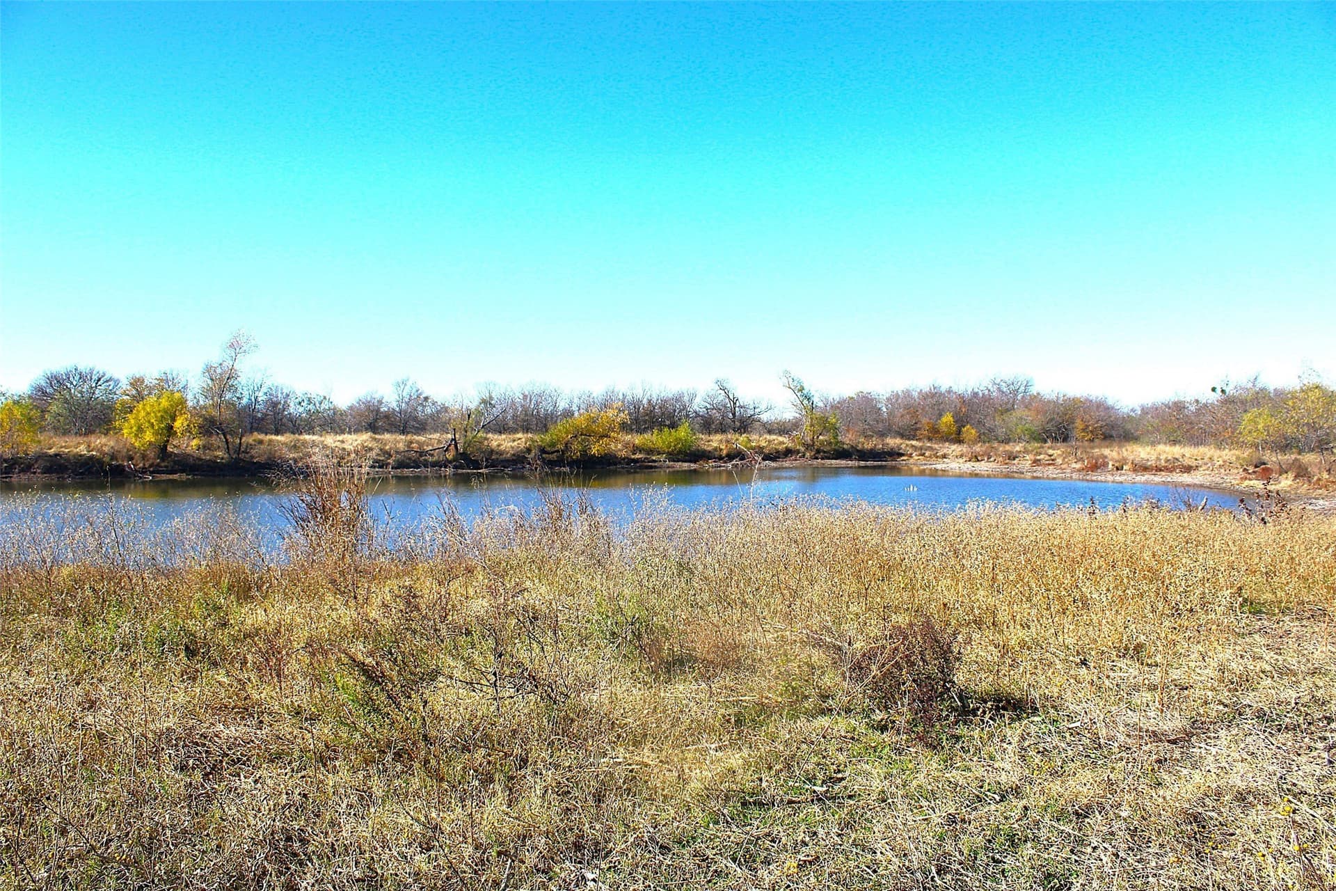100 acres in Limestone County - photo 7