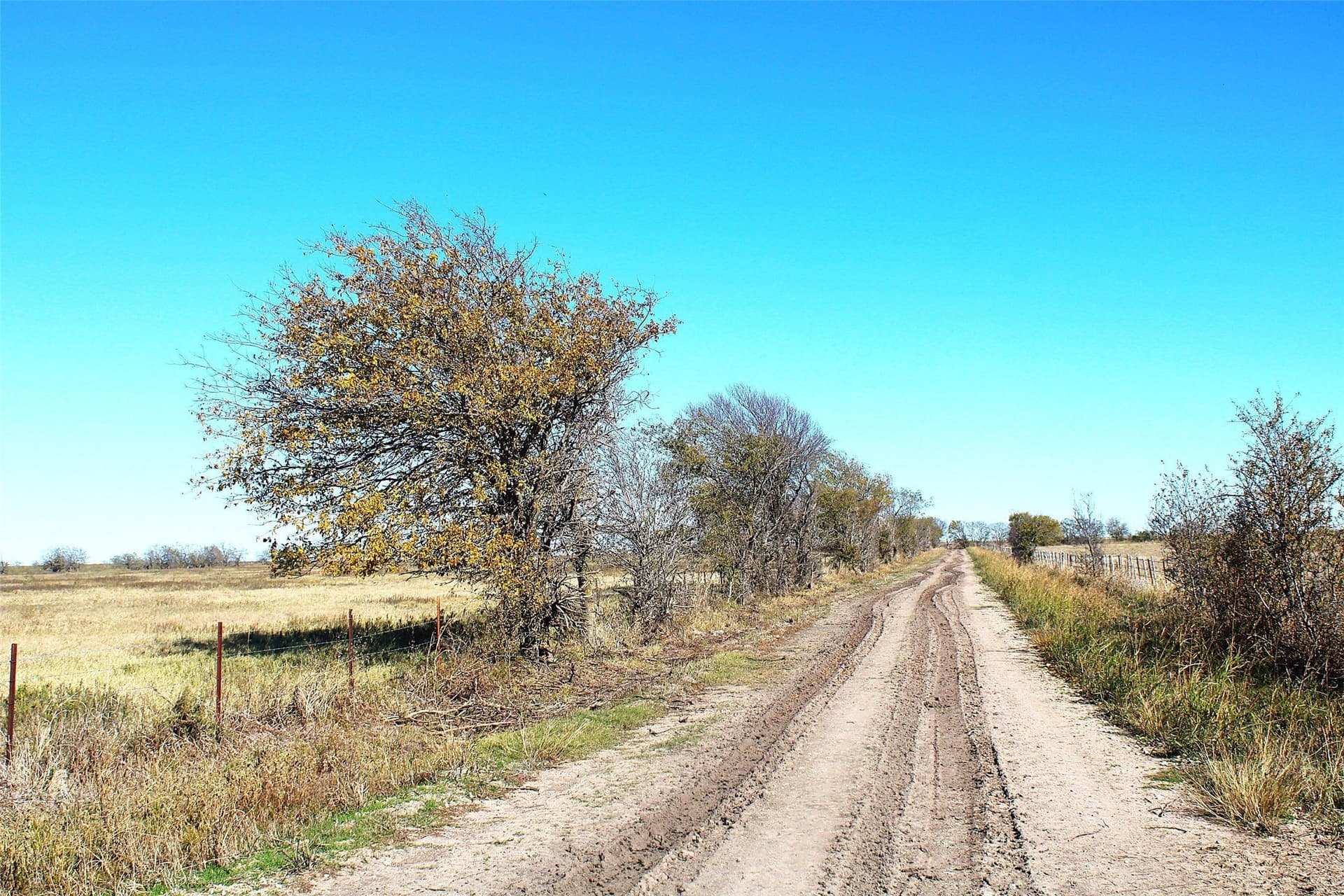 100 acres in Limestone County - photo 3