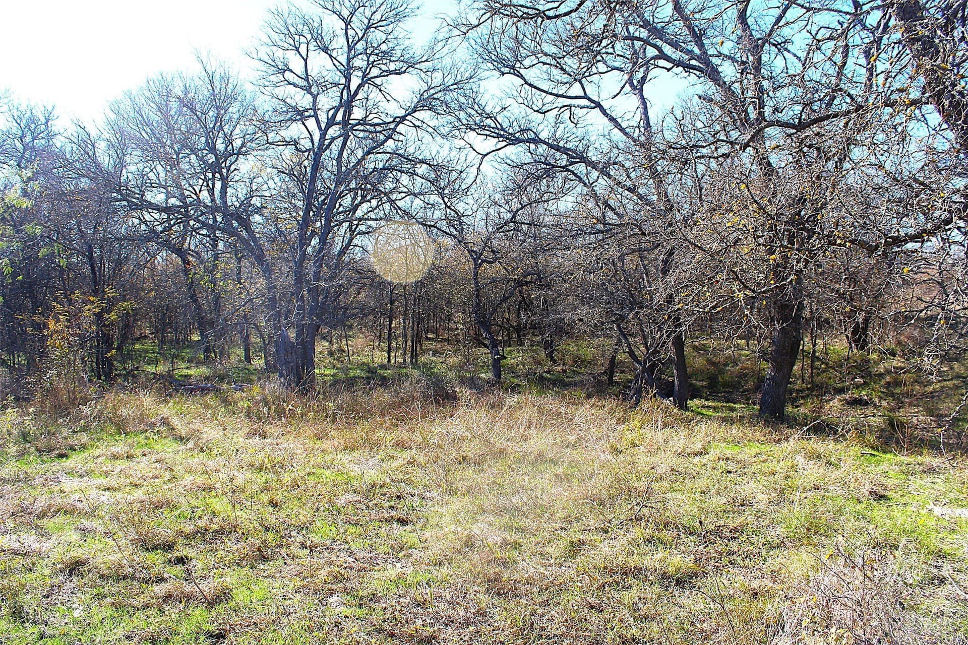 100 acres in Limestone County - photo 11
