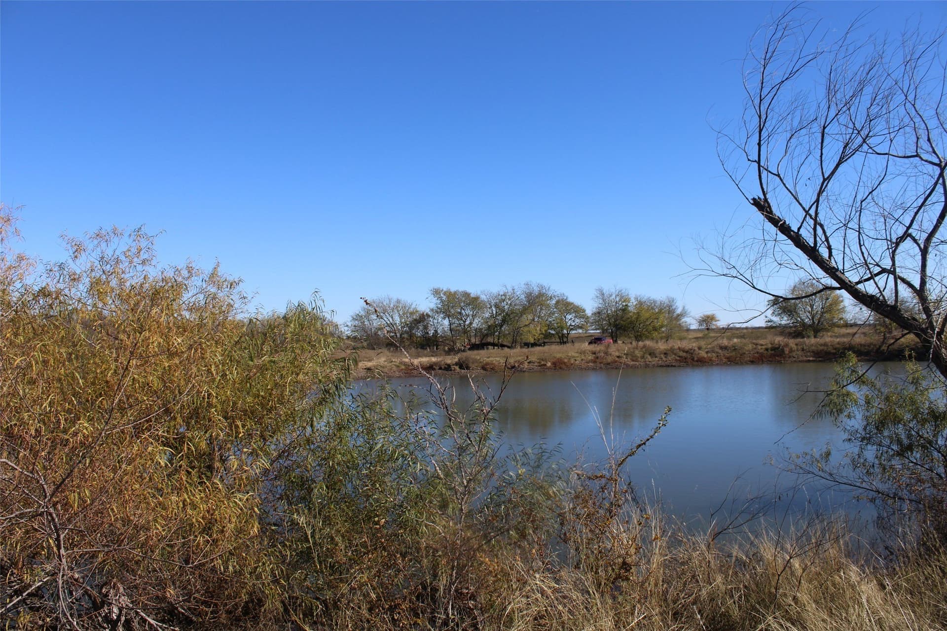 100 acres in Limestone County - photo 16