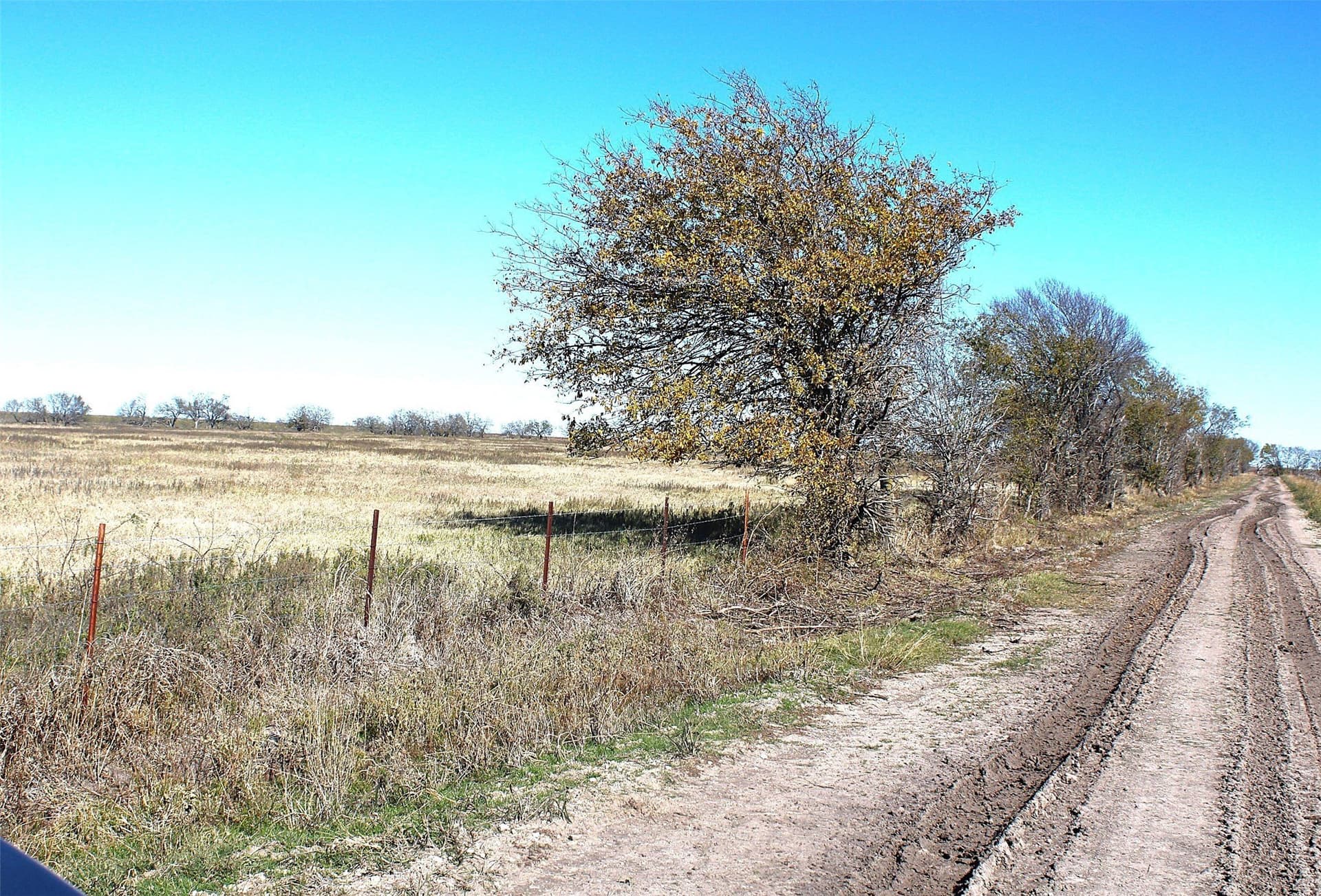 100 acres in Limestone County - photo 2