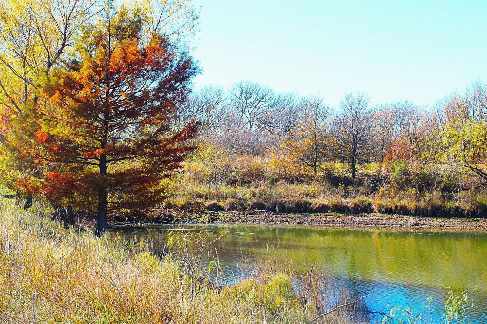 100 acres in Limestone County - photo 9